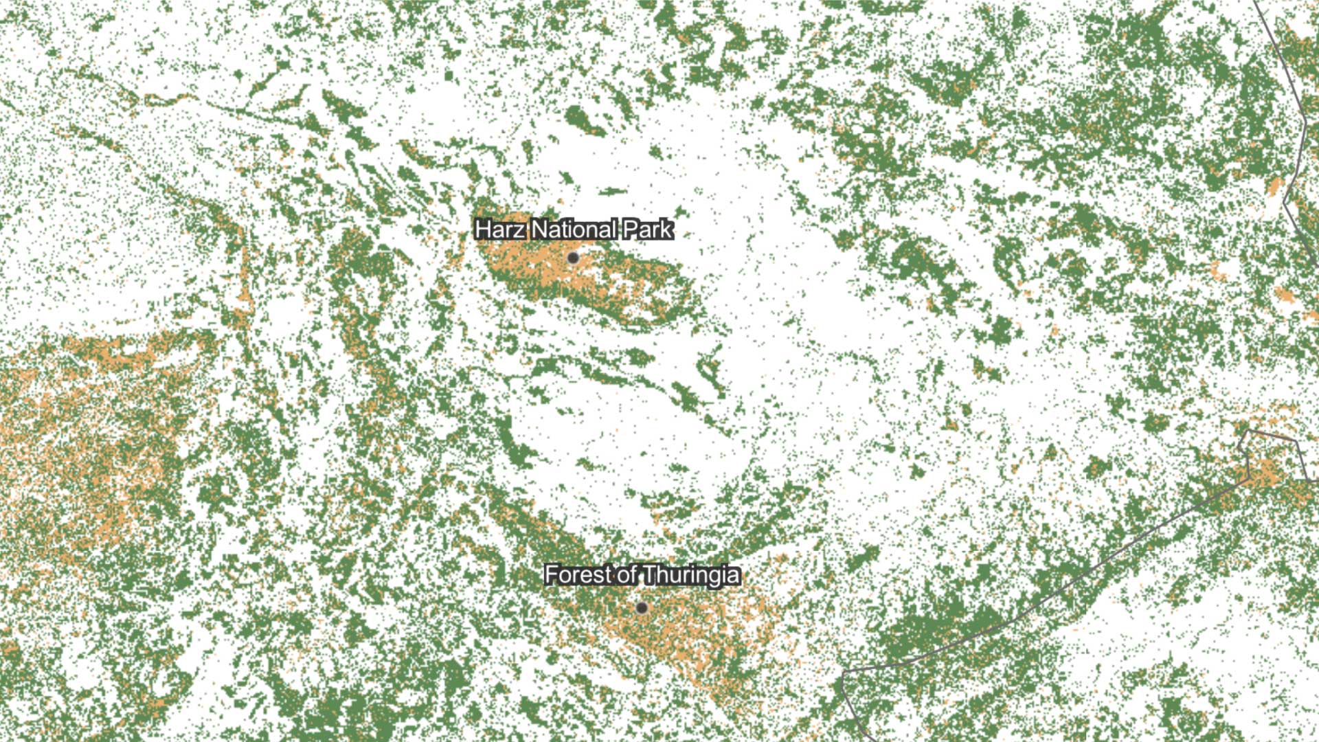 Tree Loss and Bark Beetles